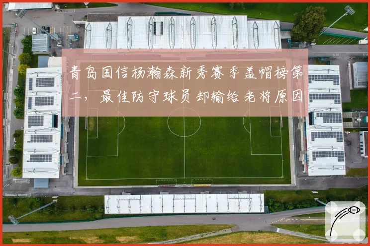 青岛国信杨瀚森新秀赛季盖帽榜第二，最佳防守球员却输给老将原因何在
