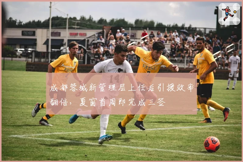 成都蓉城新管理层上任后引援效率翻倍,夏窗首周即完成三签